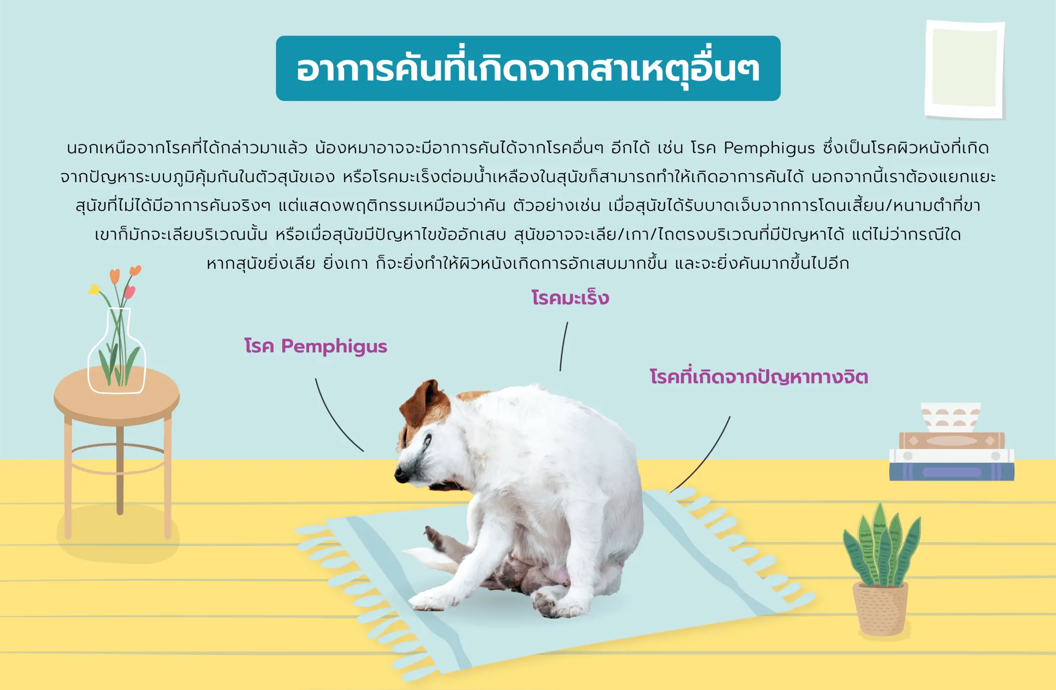 อาการคันที่เกิดจากสาเหตุอื่น